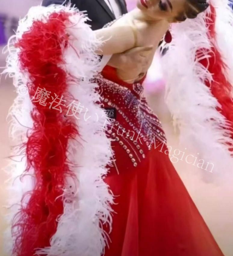 新品未使用】オーストリッチフロート 羽根 社交ダンス DIY オーダー