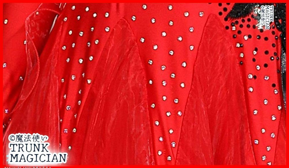  社交ダンスドレス モダンダンス 刺繍 キラキラ レッド オーダーメイド ドレス ダンス衣装 社交ダンス