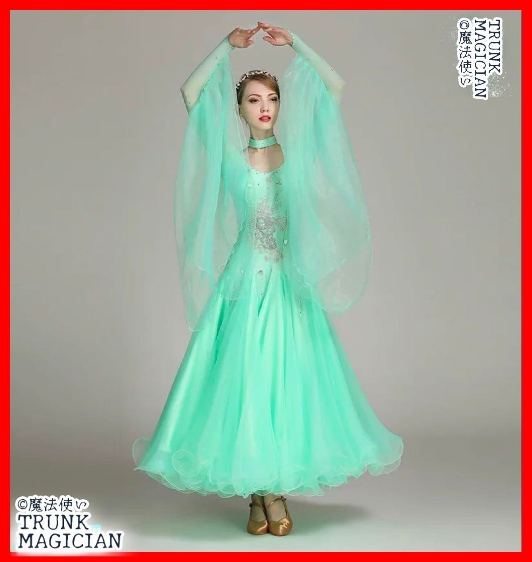 新品未使用】全新未使用 スタンダードドレス競技会や発表会、デモや