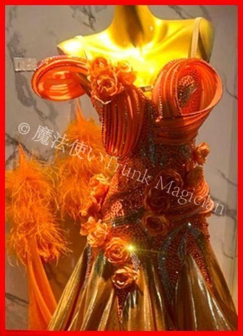 オーダーメイド 社交ダンス衣装 羽根 薔薇 モダンダンス ドレス