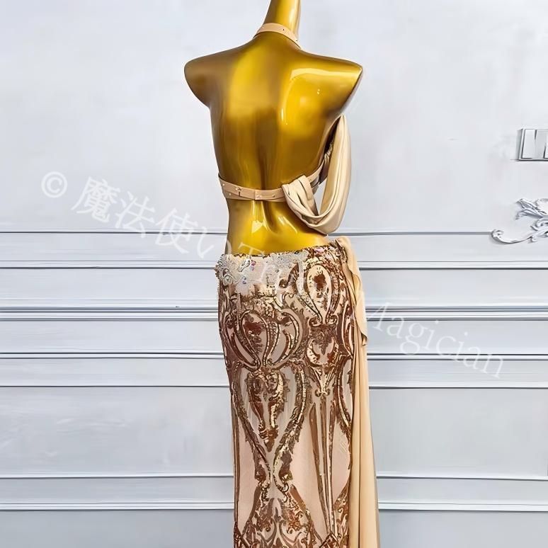 新品未使用】ベリーダンス オリエンタル衣装 インナー付 演技 衣装