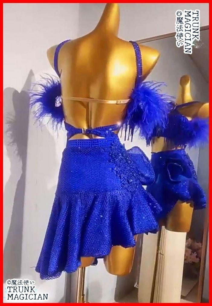 新品未使用】社交ダンス衣装 ラテンワンピースドレス 羽根 キラキラ