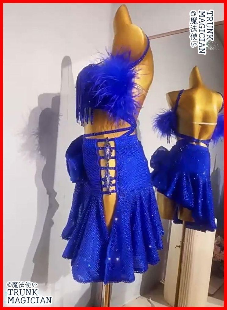 新品未使用】社交ダンス衣装 ラテンワンピースドレス 羽根 キラキラ