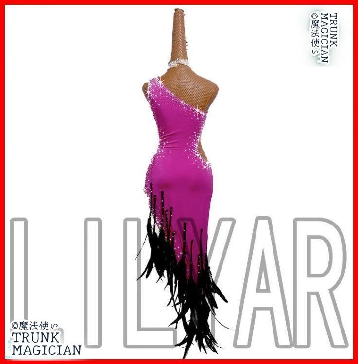 オーダーメイド 社交ダンス衣装　羽毛 ラテンワンピースドレス 色変更可 オーダーメイド 社交ダンス衣装 ラテンワンピースドレス 色変更可