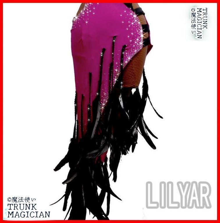 新品未使用】社交ダンス衣装 ラテンワンピースドレス 豪華 羽毛フリル