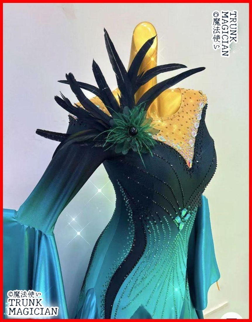 新品未使用】オーダーメイド 社交ダンス衣装 グラデーションカラー