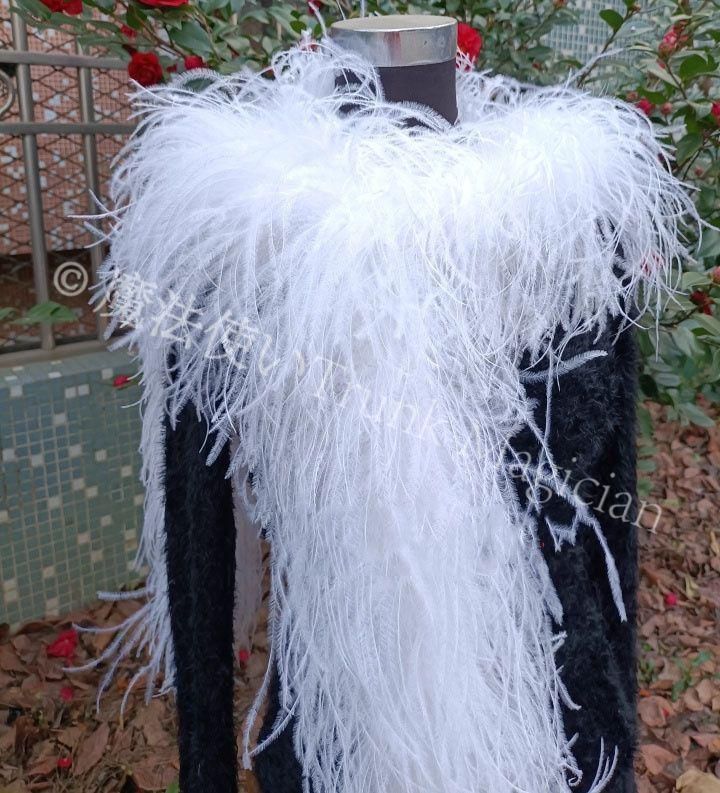 新品未使用】オーストリッチフロート 羽根 社交ダンス DIY オーダー