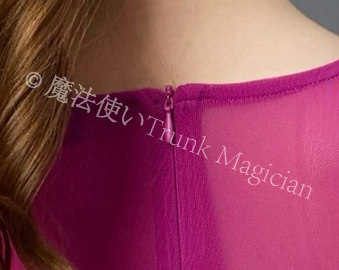 ドレスダンスパーティーやデモに