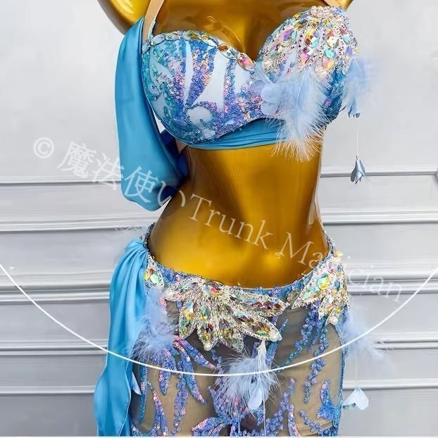 新品未使用】ベリーダンス オリエンタル衣装 インナー付 演技 衣装