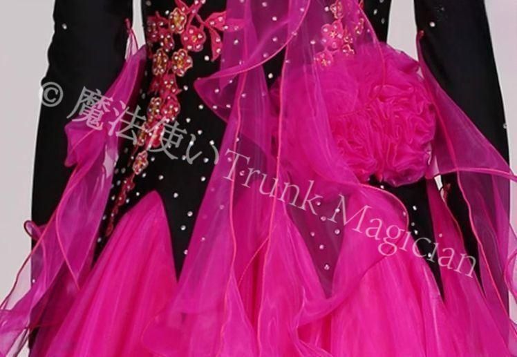 新品未使用】新品未使用社交ダンスドレス スタンダードドレス モダン