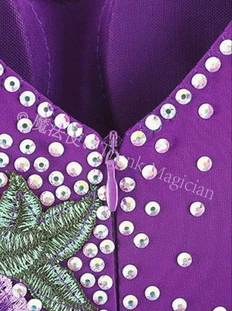 新品未使用】豪華ストーン付きスタンダードドレス 競技会や発表会