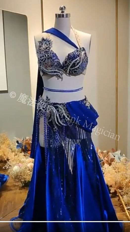 新品未使用】ベリーダンス衣装 ブラスカート アクセサリー付 豪華