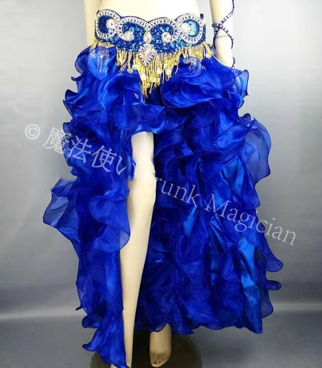 ♥ ベリーダンス衣装 オリエンタル衣装 スカートのみ オーダーメイド