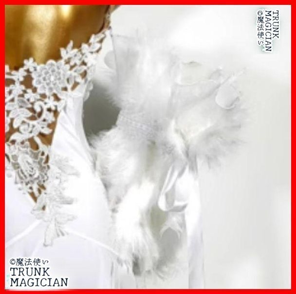 オーダーメイド 社交ダンス衣装