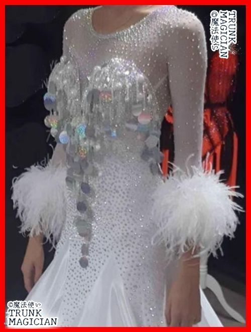 オーダーメイド 社交ダンス衣装 ドレス 色変更可