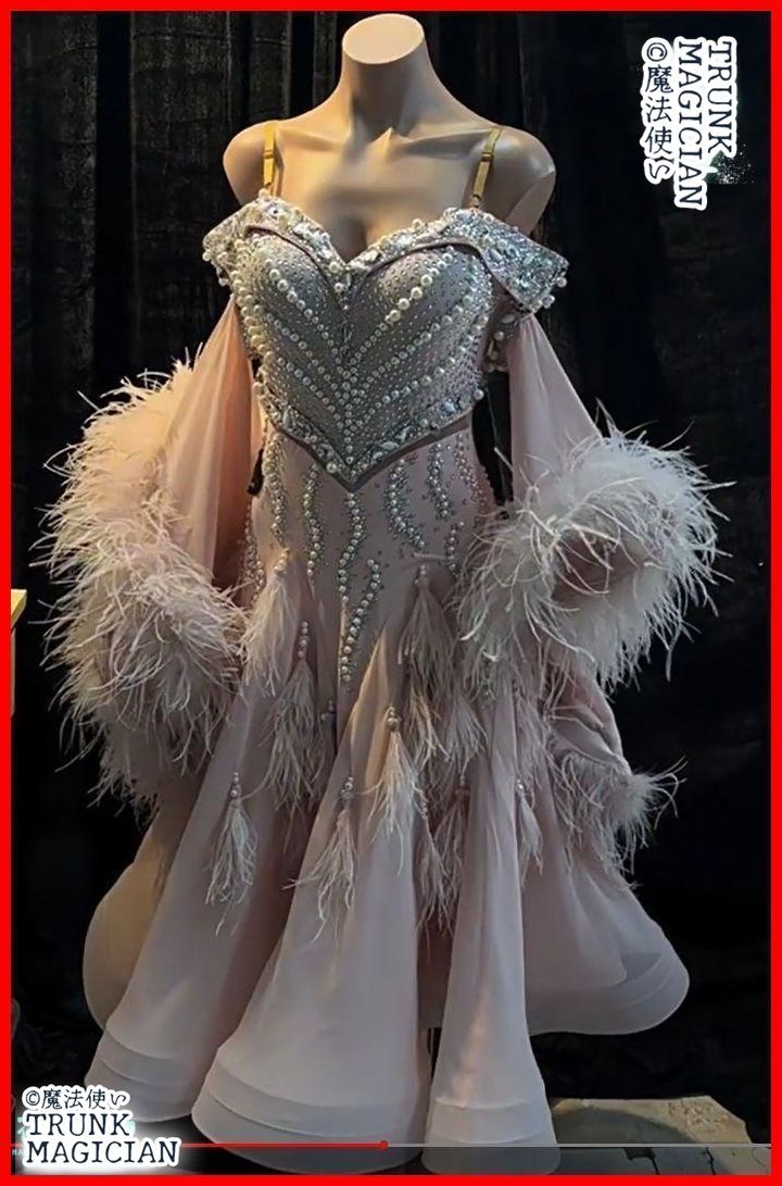 オーダーメイド 社交ダンス衣装 色変更可 ドレス