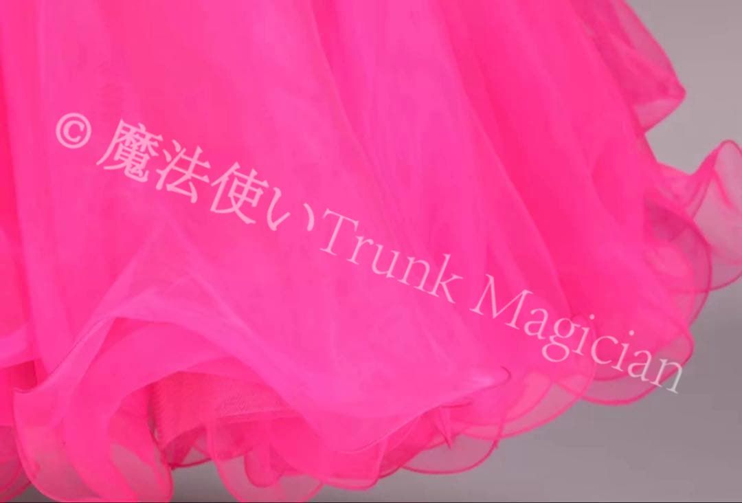 華やかなデザインで競技会やデモ 発表会に