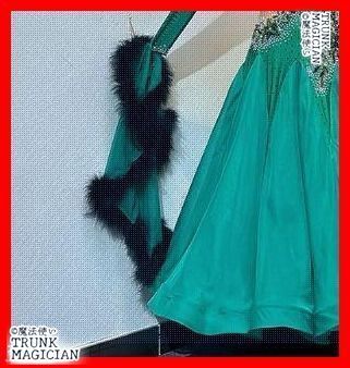 ドレス フロート付