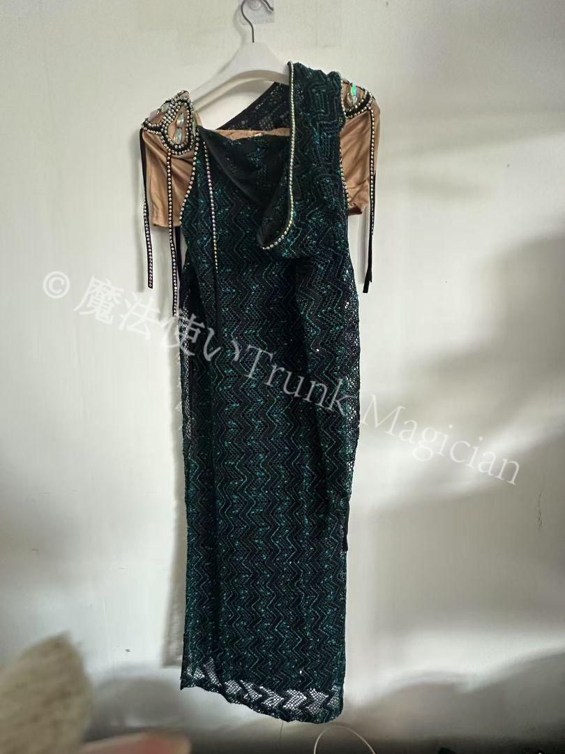 新品未使用】ベリーダンス サイーディ オリエンタル衣装 セットアップ