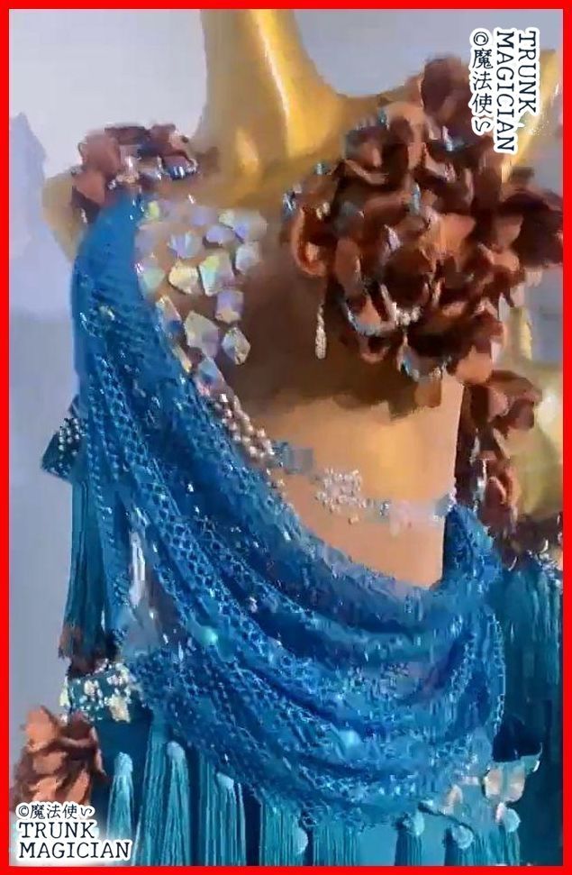 オーダーメイド 社交ダンス衣装