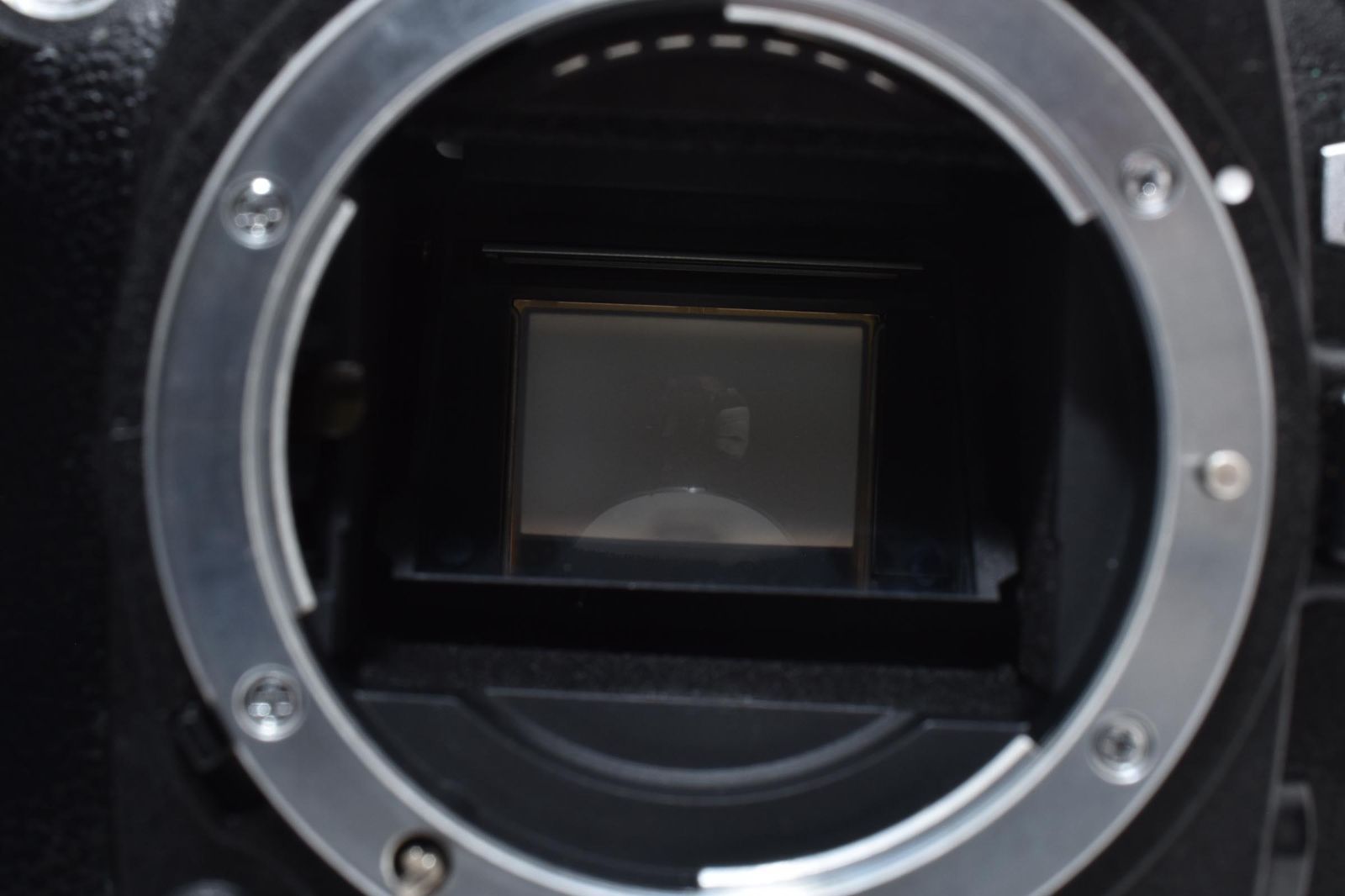 409 Nikon D70 ショット数1251枚 - メルカリ