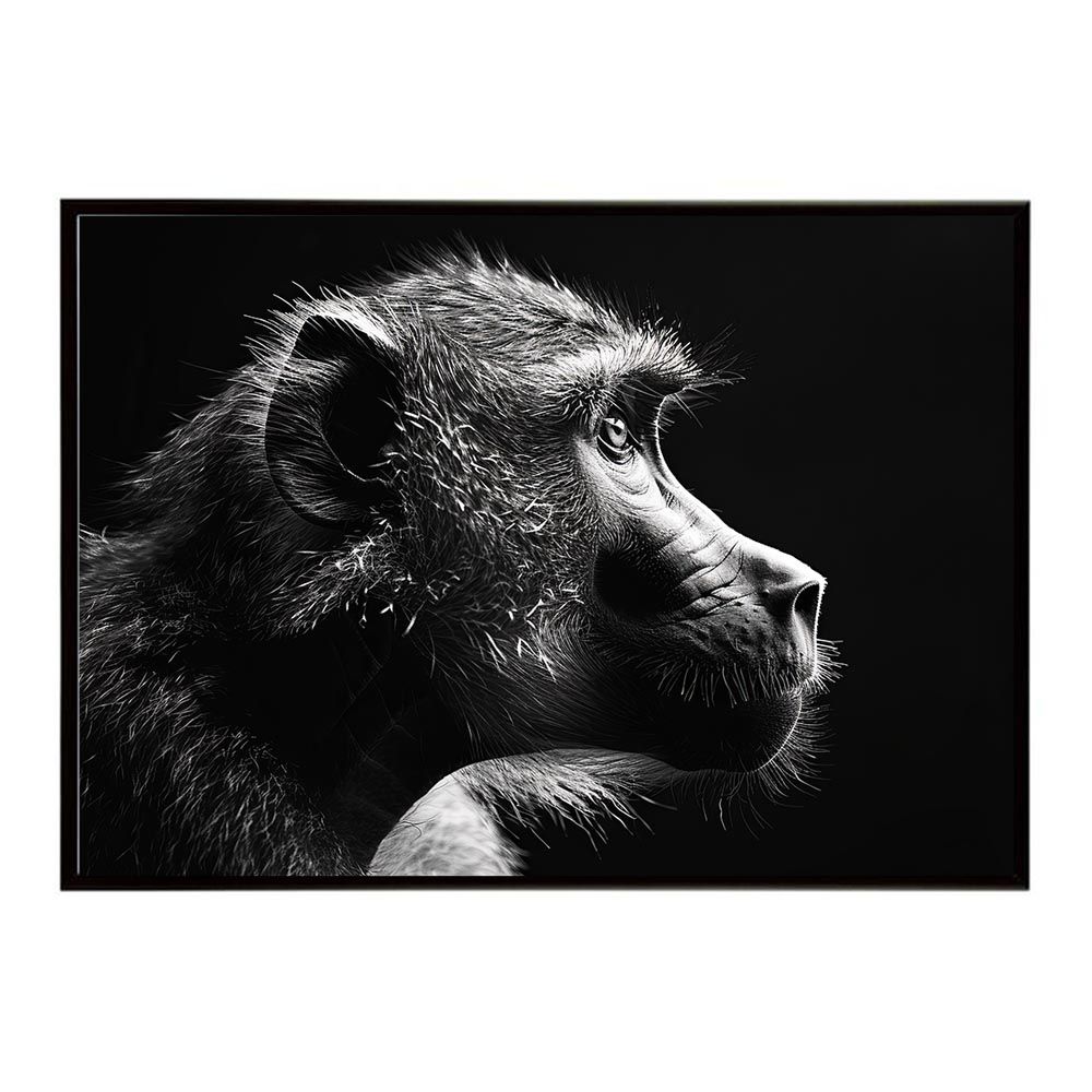 アドリアーン・ファン・ユトレヒト、オウムのいる静物、希少画集画