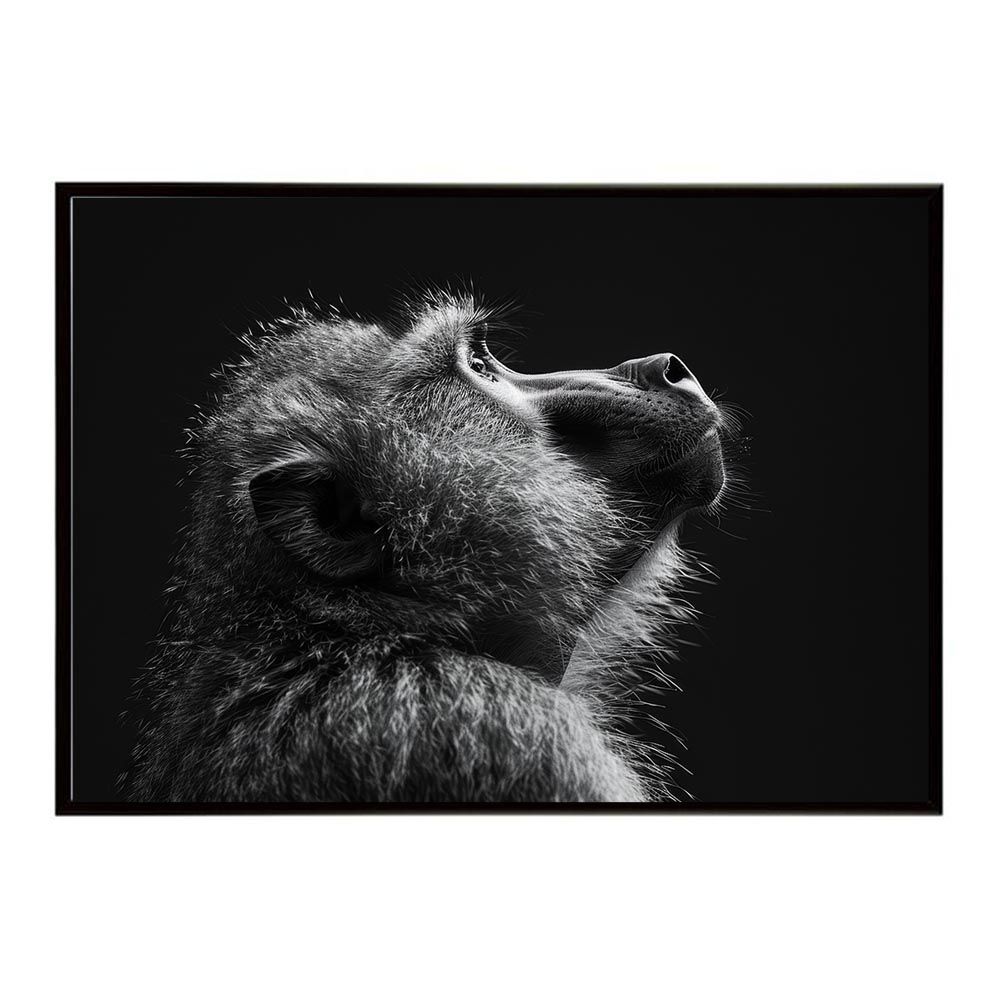 【A1サイズ（約59x84cm）】【lh-poster-6136】Baboon ヒヒ バブーン サバンナ アフリカ 草原 自然 ネイチャー 動物 アニマル 野生動物 写真 猿ポスター インテリア /lh-poster-6136
