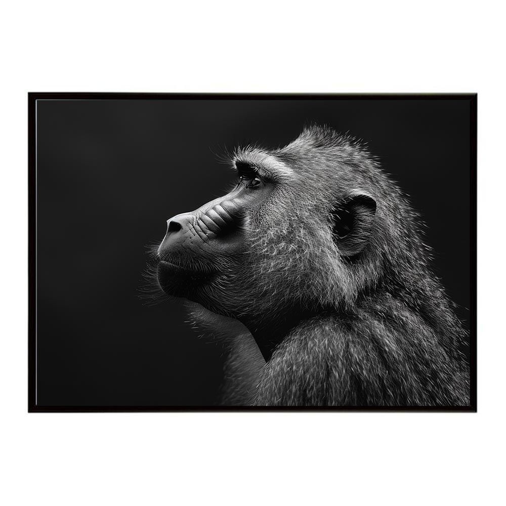 A1サイズ（約59x84cm）】【lh-poster-6143】Baboon ヒヒ バブーン