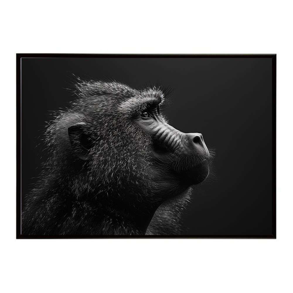 A1サイズ（約59x84cm）】【lh-poster-6151】Baboon ヒヒ バブーン