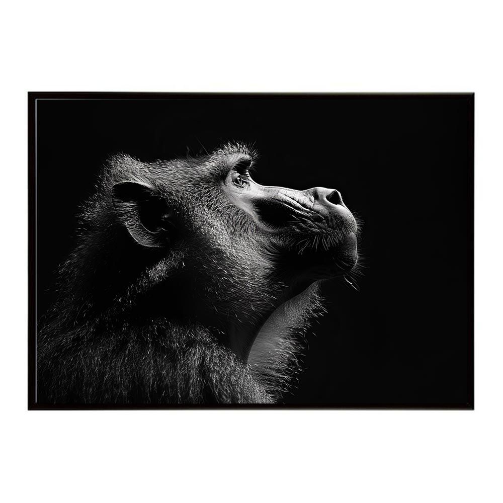 【B2サイズ（約51x73cm）】【lh-poster-6153】Baboon ヒヒ バブーン サバンナ アフリカ 草原 自然 ネイチャー 動物 アニマル 野生動物 写真 猿ポスター インテリア /lh-poster-6153