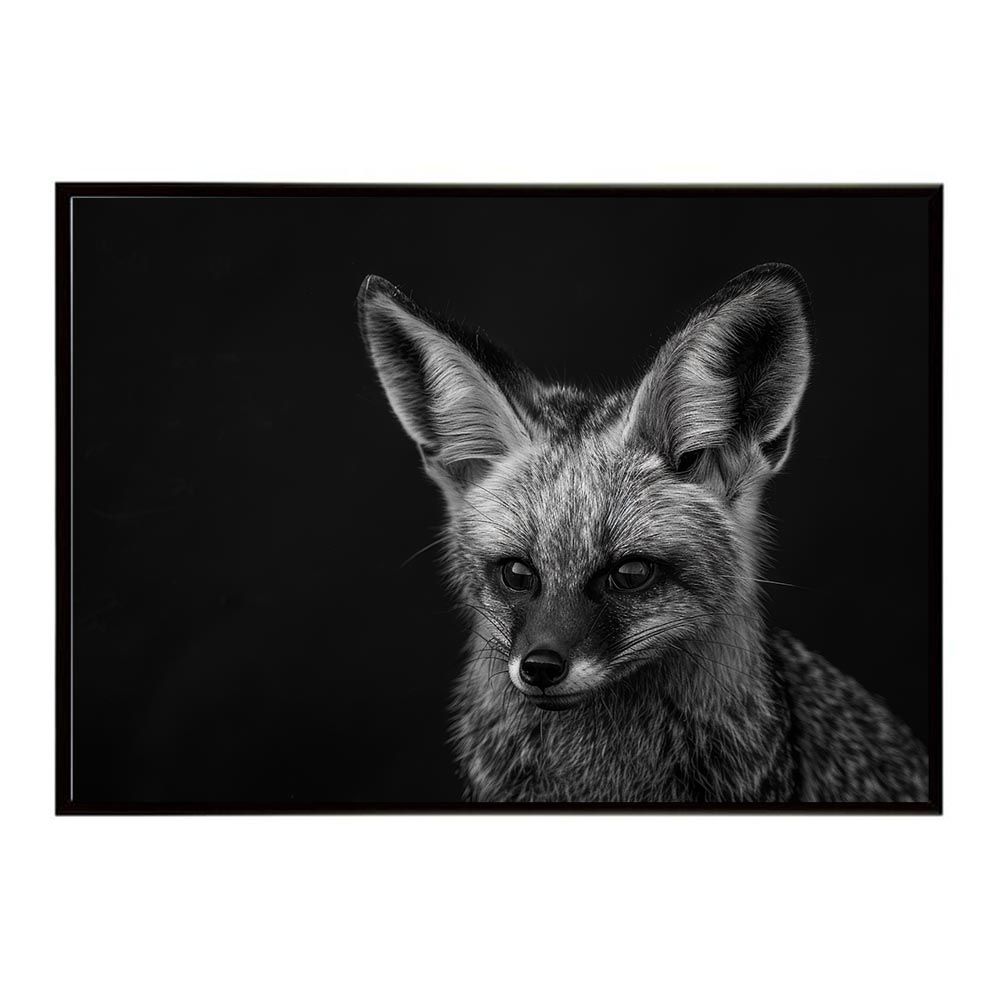 【A2サイズ（約42x59cm）】【lh-poster-6167】Bat-eared fox オオミミギツネ サバンナ アフリカ 草原 自然 ネイチャー 動物 アニマル 野生動物 写真 犬 キツネポスター インテリア /lh-poster-6167