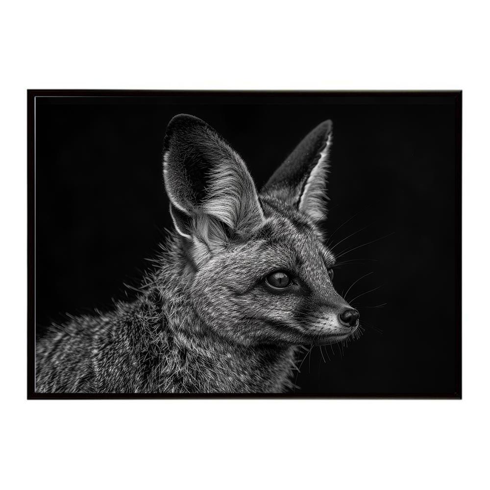 【A1サイズ（約59x84cm）】【lh-poster-6173】Bat-eared fox オオミミギツネ サバンナ アフリカ 草原 自然 ネイチャー 動物 アニマル 野生動物 写真 犬 キツネポスター インテリア /lh-poster-6173