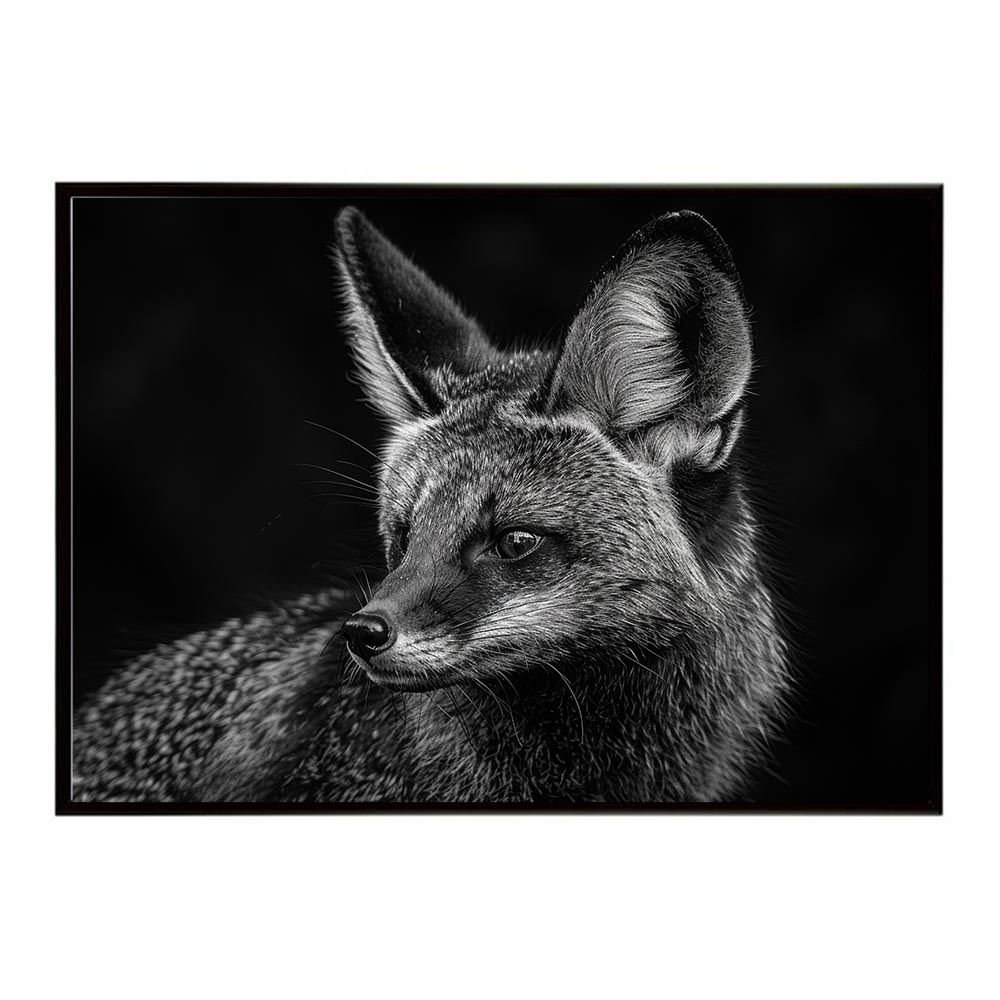 【A1サイズ（約59x84cm）】【lh-poster-6198】Bat-eared fox オオミミギツネ サバンナ アフリカ 草原 自然 ネイチャー 動物 アニマル 野生動物 写真 犬 キツネポスター インテリア /lh-poster-6198