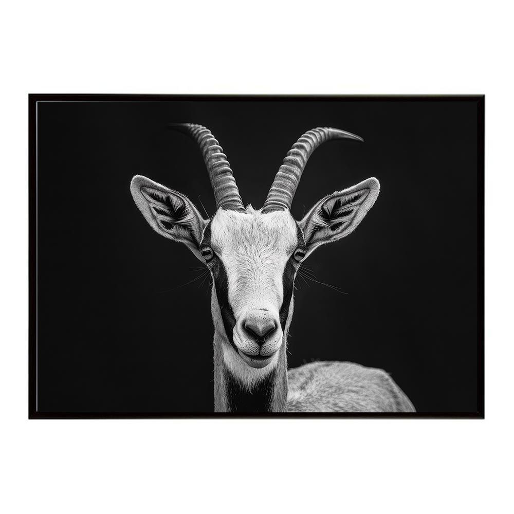 ハ*ー様 コイケ 13mm 15個セット ハリとシンカー付 ハ*ー様 コイケ