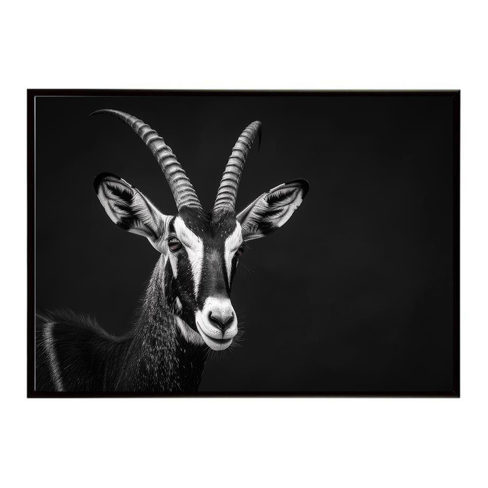 B1サイズ（約73x103cm）】【lh-poster-6201】Blesbok ブレスボック