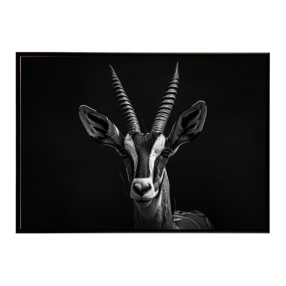 森伊蔵　1.8L 未開封 沢山の宝貝です！ タカラガイ イモガイ 貝殻 のセット