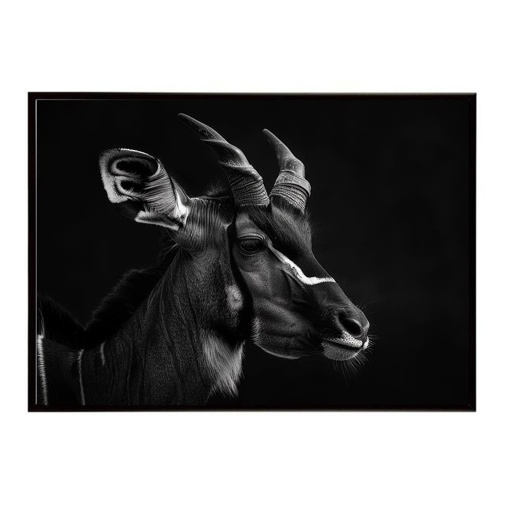 ドラカプ 家族の肖像 ドラゴンボールカプセル ボーナスパーツ 悟空 悟