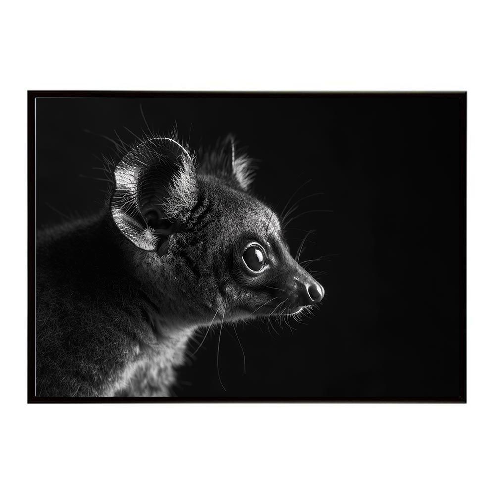 B1サイズ（約73x103cm）】【lh-poster-6231】Bushbaby ガラゴ ブッシュ 