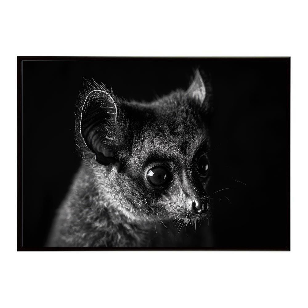 販売 【B2サイズ（約51x73cm）】【lh-poster-6241】Bushbaby ガラゴ