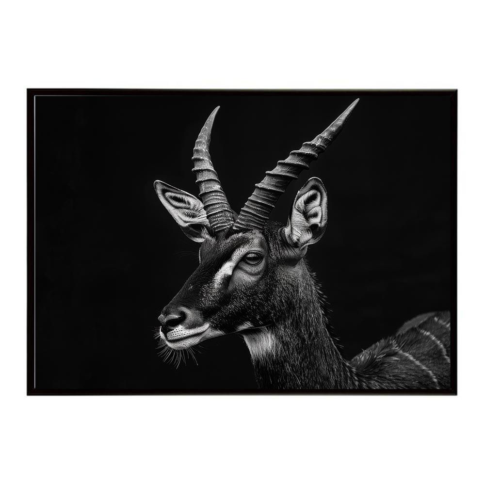 【B1サイズ（約73x103cm）】【lh-poster-6255】Bushbuck ブッシュバック アンテロープ サバンナ アフリカ 草原 自然 ネイチャー 動物 アニマル 野生動物 写真 鹿ポスター インテリア /lh-poster-6255