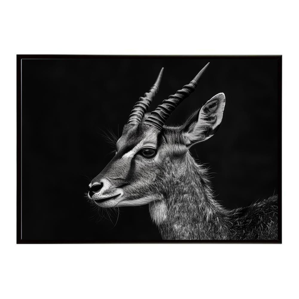 【B2サイズ（約51x73cm）】【lh-poster-6257】Bushbuck ブッシュバック アンテロープ サバンナ アフリカ 草原 自然 ネイチャー 動物 アニマル 野生動物 写真 鹿ポスター インテリア /lh-poster-6257