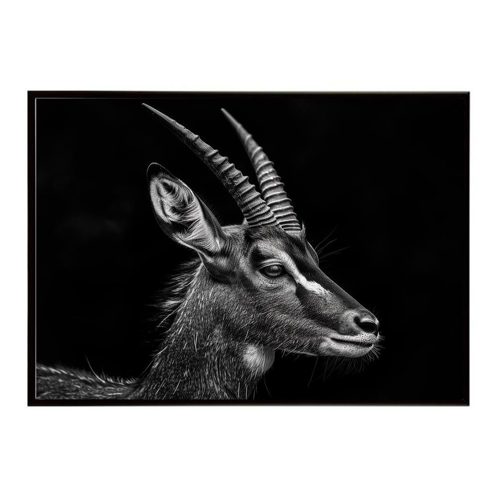 WILD TURKEY STAMPED 500ml