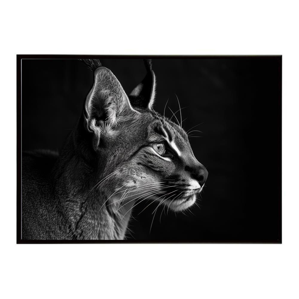 A4サイズ（約21x30cm）】【lh-poster-6259】Caracal カラカル カラカル