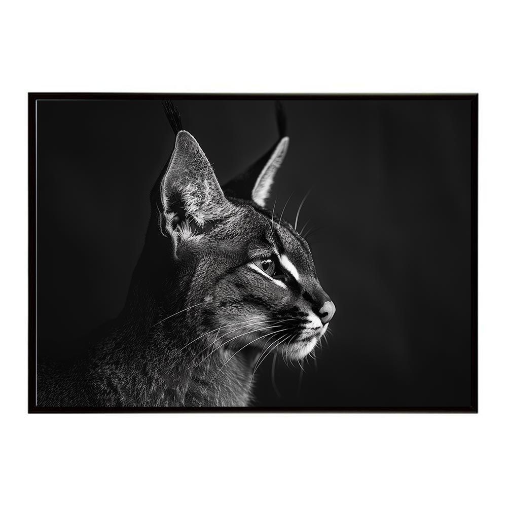 B3サイズ(約36x51cm)】【lh-poster-6260】Caracal カラカル カラカル B3サイズ(約36x51cm)】【lh-poster-6260】Caracal カラカル カラカル