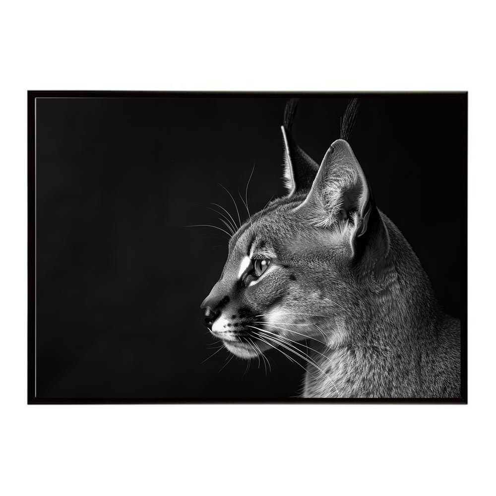 【A1サイズ（約59x84cm）】【lh-poster-6261】Caracal カラカル カラカルキャット サバンナ アフリカ 草原 自然 ネイチャー 動物 アニマル 野生動物 写真 猫ポスター インテリア /lh-poster-6261
