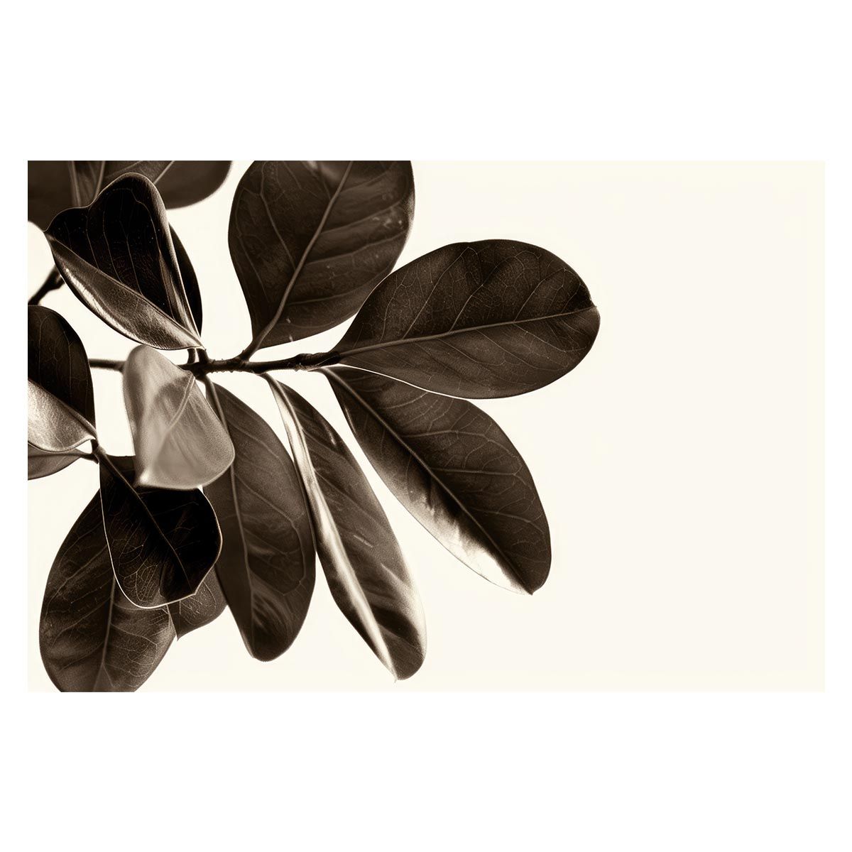 FROGMAN DW-8200M.I.B 1st電池交換 防水検査済 保証書付