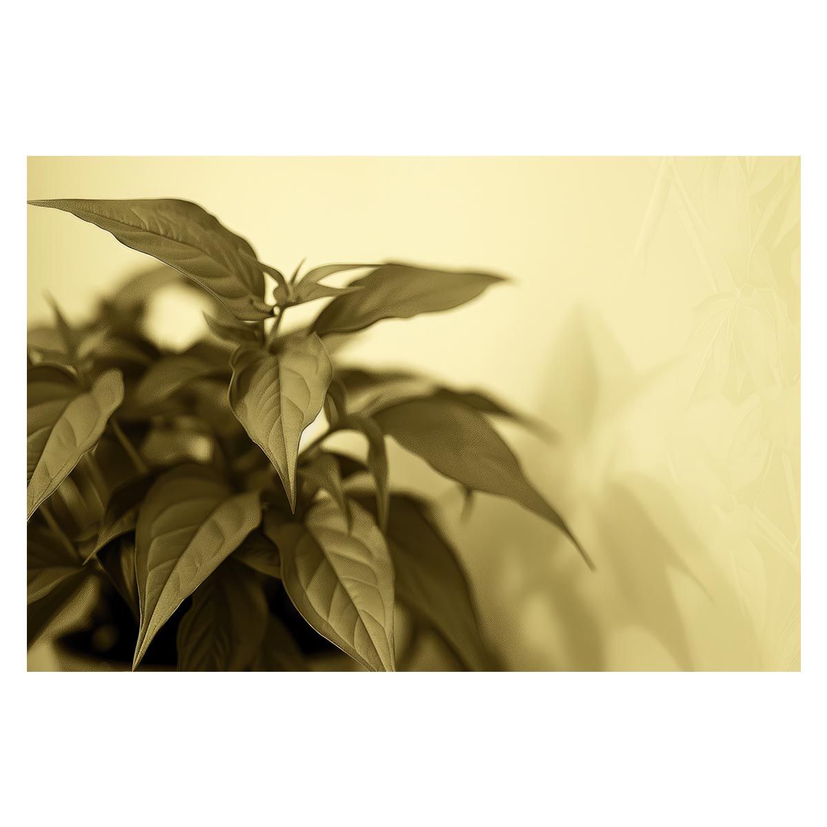 【A2サイズ（約42x59cm）】【lh-poster-4619】植物 グリーン 葉っぱ 観葉 ポスター ボタニカル 草 自然 インテリア アート