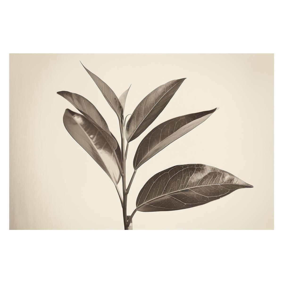 【B2サイズ（約51x73cm）】【lh-poster-4626】植物 グリーン 葉っぱ 観葉 ポスター ボタニカル 草 自然 インテリア アート