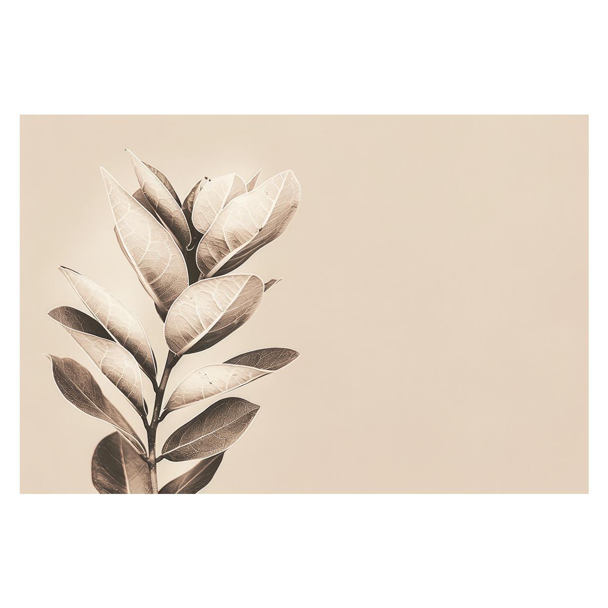 【A1サイズ（約59x84cm）】【lh-poster-4630】植物 グリーン 葉っぱ 観葉 ポスター ボタニカル 草 自然 インテリア アート