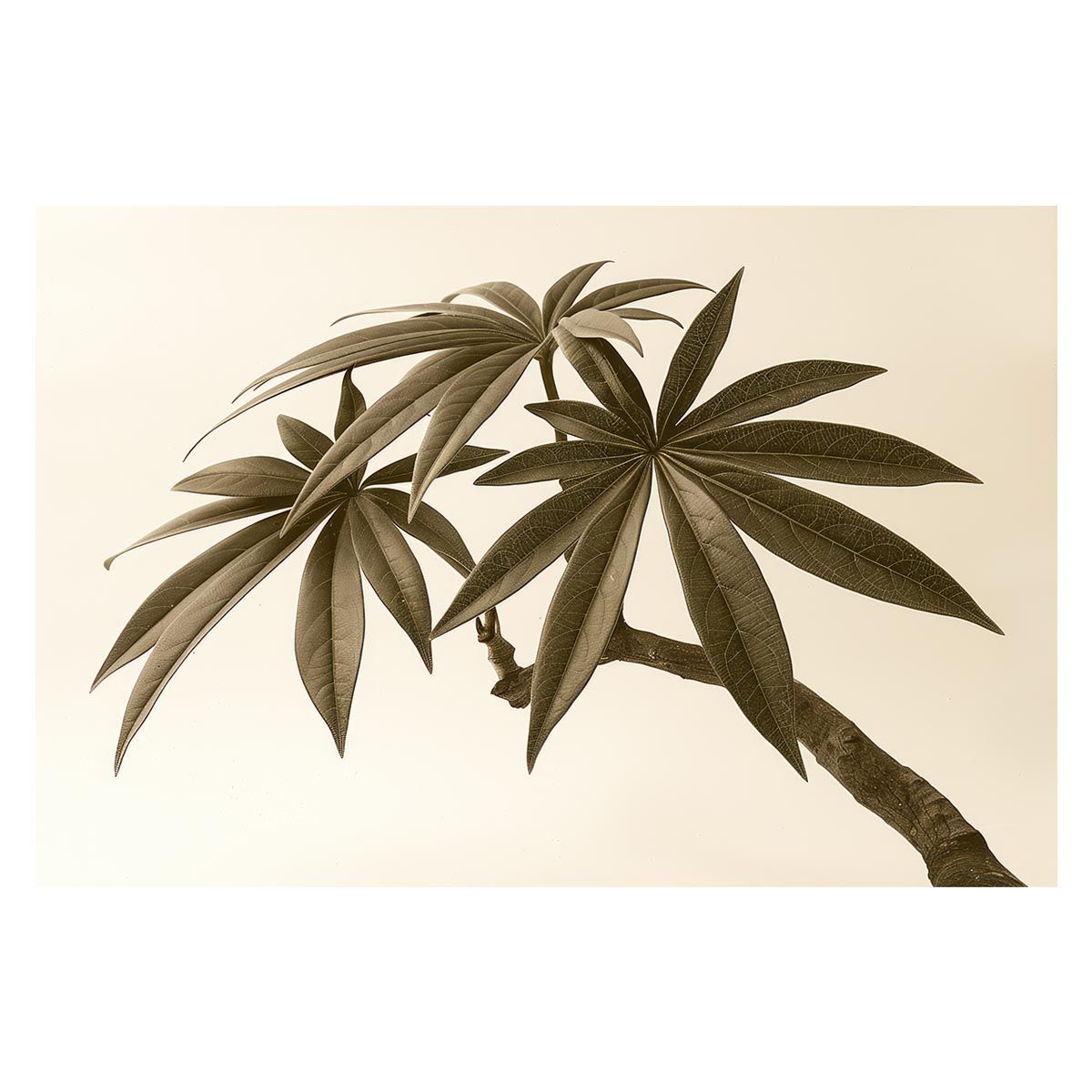 【B1サイズ（約73x103cm）】【lh-poster-4631】植物 グリーン 葉っぱ 観葉 ポスター ボタニカル 草 自然 インテリア アート